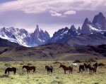 La Patagonia es uno de los lugares más preciados para el capital extranjero en la compra de tierras.