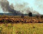 Jorge Juber, director de la Reserva, dijo a Télam que "se están quemando unas 200 hectáreas de unas 3000 que tiene el predio".