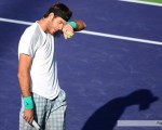 Juan Martín Del Potro, el tenista número uno argentino y siete del mundo, cayó ayer por la noche en la final del torneo de Indian Wells