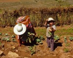 Los bolivianos recibirán tierras.