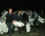 En un vehículo fueron hallados más de 10 mil toneladas soja, junto a casi 600 bolsas a orillas del río Uruguay y tres canoas con bolsas listas para llevar al Brasil.