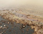 Ante la contaminación de algunas zonas del medio ambiente rionegrino, el gobierno provincial buscar reglamentar a las petroleras.