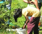 Detectaron trabajo infantil en Chubut.