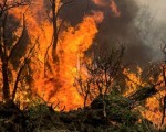 Importantes incendios afectan Chubut.