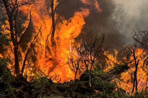 Importantes incendios afectan Chubut.